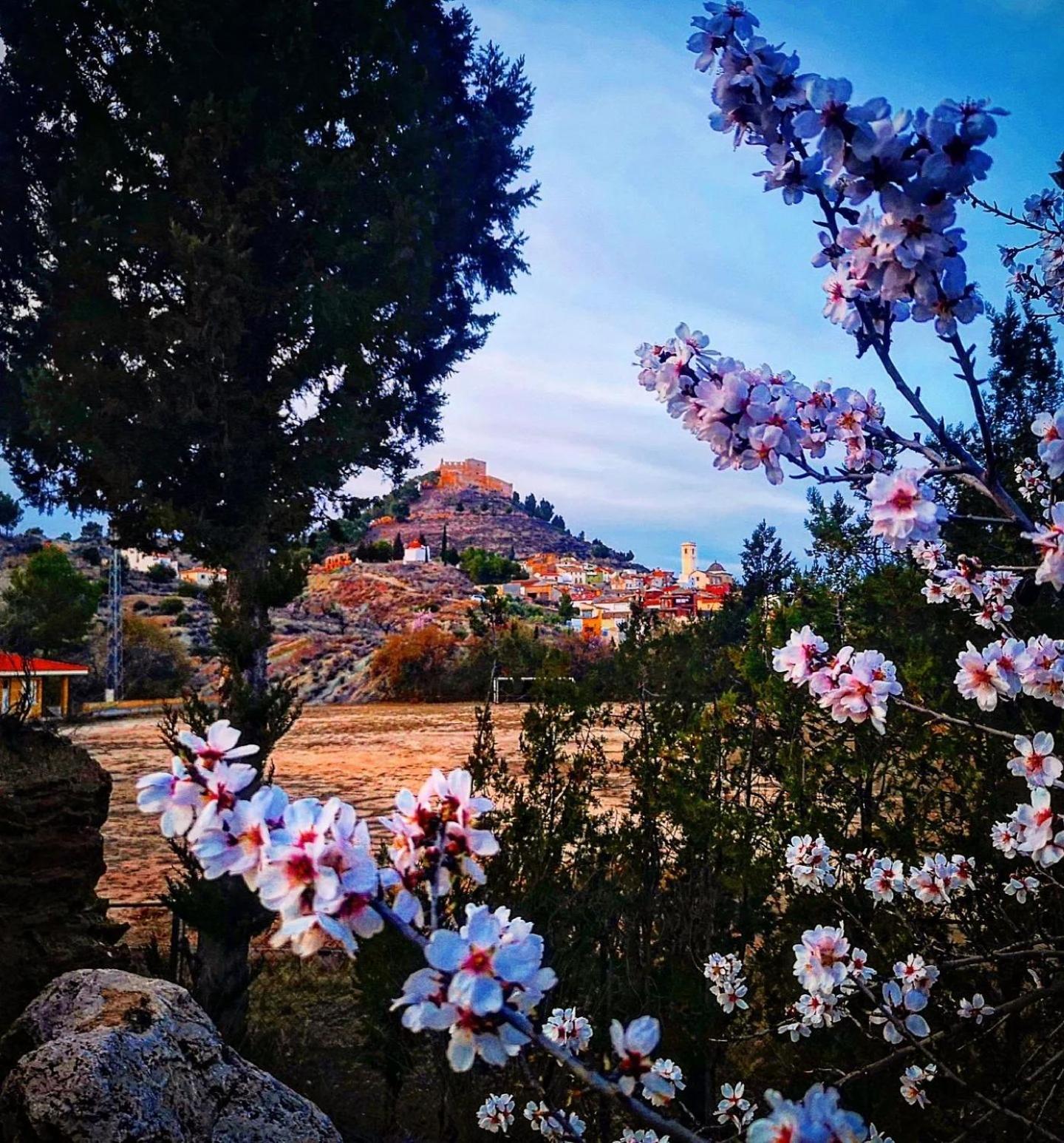 Aer Rural Apartment - Casillas Valle De Ayora Jalance Kültér fotó